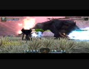 【ドラゴンネスト】アクロバット【ヘルソロ無死】Part6