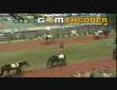 【競馬といえば】パドックでも見て、相馬眼上げようず【パドック】