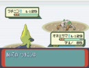 【実況】 ポケモンルビー　やってみた part41 【ドナベと愉快な仲間たち】