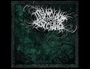 TAKING YOUR LAST CHANCE-Subconscious
