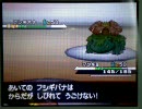 ＜ポケモンBW＞マッギョ・ビーダル・ノコッチ＜ランダムまっち＞