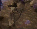 働かない者