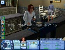 sims3 負け犬シムが全キャリアトップを目指す Part288 フランス旅行編４