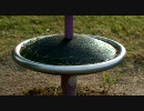 勝手に回る遊具：恐怖のグルグル公園を体験（スライド版）