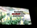 優しい光　EXILE　カラオケでうたいました。(/ω＼)