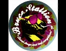 Drugs = Bad (Squire of Gothos Remix) - Bruce Stallion