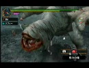 【MHP2G】勇気の出るモンハン #64(湿地帯の捕食者たち)