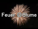【APヘタリア】Feuer◎Blume【替え歌】