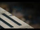アニ鉄の撮影待機曲集