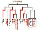 【鉄拳6BR】第4回マスラオ杯@Dブロック2回戦④