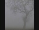 Jesu - Dead Eyes