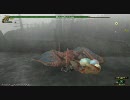 【MHF】：教官の試練【沼地の怪鳥編】　乾かない皮をさっさと集める作業