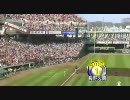 野球中継のテロップを比較してみた2010暫定版２