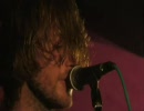 Dinosaur Pile-Up  -  Traynor