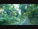 動画変換てすてす　CUDA不使用