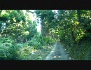動画編集てすてす　CUDA使用