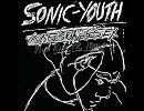 Sonic youth      Making The Nature Scene