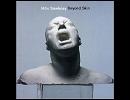 Nitin  Sawhney  - Letting  go
