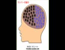 【ニコラップ】ﾎﾞｸﾊﾗｯﾊﾟｰ【Jill】