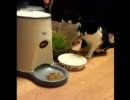 エ…エサ出て来た！　《こだなちゅ》