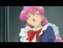パピヨンローゼ　NewSeason