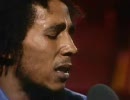 The Wailers ~ Stir It Up