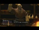 FINAL FANTASY XIV プレイ動画　パート５