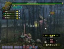 【MHF】レジェンドラスタ・ギネルさん2ガン2でHCザザミ