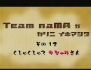 【MHP2G】 Team naMA　本日のお戯れ　その12【実況】