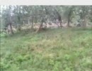 【中国旅行記】2005年の上海一大会址付近と上海野生動物園の動画