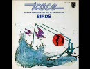 King-Bird　Trace