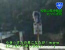 【長距離車載動画】 西日本ぶらり旅 part.40 和歌山2