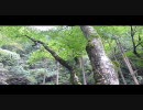 【東京発】近所の秘境にでかけよう！