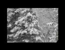 The Deer Tracks - Yes This Is My Broken Shield