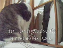 猫が元気に障子をやぶりました。