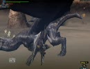 【MHF】昇竜弓で600試験【SR弓】