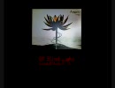 【 Angelo 】　11分でわかる　Design