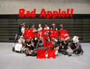 Bad Apple!!オフ【踊ってみたin滋賀】