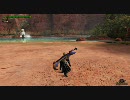 MHFテスト②