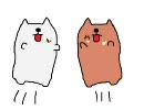 【カピバラ】お誕生日おめでとう【なでなで】