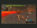 【MHP2G】笛吹きおひとりさまが行く集会所クエ　第８回＜下位ドスイー＞