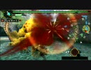 【MHP3体験版】 ロアルドロス５分針　ハンマーソロ