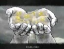 【家一軒下さい】　トカレフと少女を歌ってみた　【つくし】