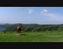隠岐の島　スカイラインダートを走ってみた（再エンコ）