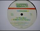 In The End (I Want You Cry) / TENSNAKE