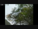 【ツーリング】バイクで日本一周の旅　Part7【車載動画】