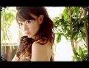 【水樹奈々】NEXT ARCADIA【歌ってみた】