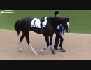 2010.10.1７ ケミカルチェンジ パドック～レース【東京競馬】