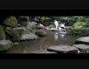 バイクで一人旅in北海道 part4