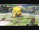 【MHP3】まったりモンハンしようぜ！番外編Ⅰ『ポン●ライオンの水遊び』